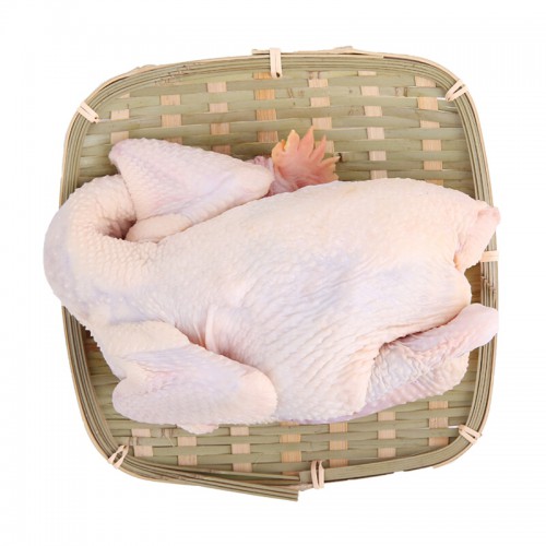 新鲜麻鸡(约750g)